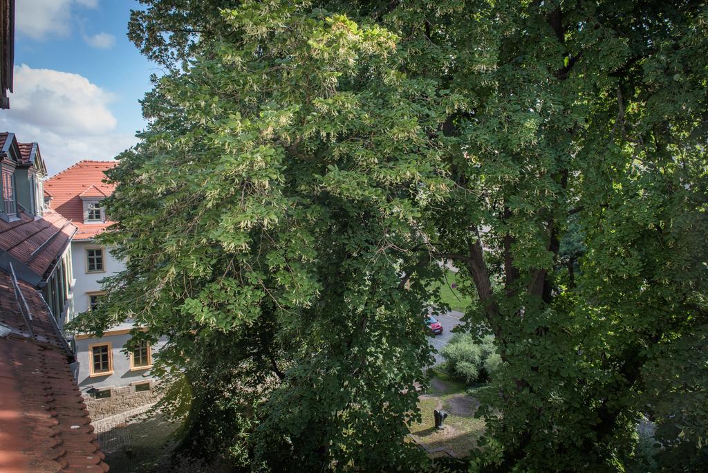 "Goethezimmer" Ferienwohnung Und Zimmer Am Burgplatz Weimar  Bagian luar foto